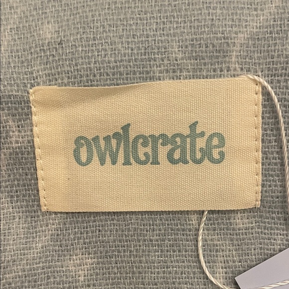 NWT Owlcrate Light Gray Scarf with Fringe - Picture 2 of 6